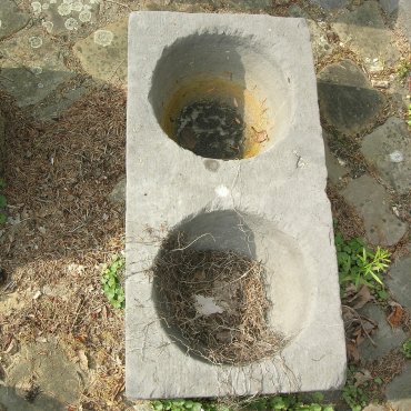 Allerlei